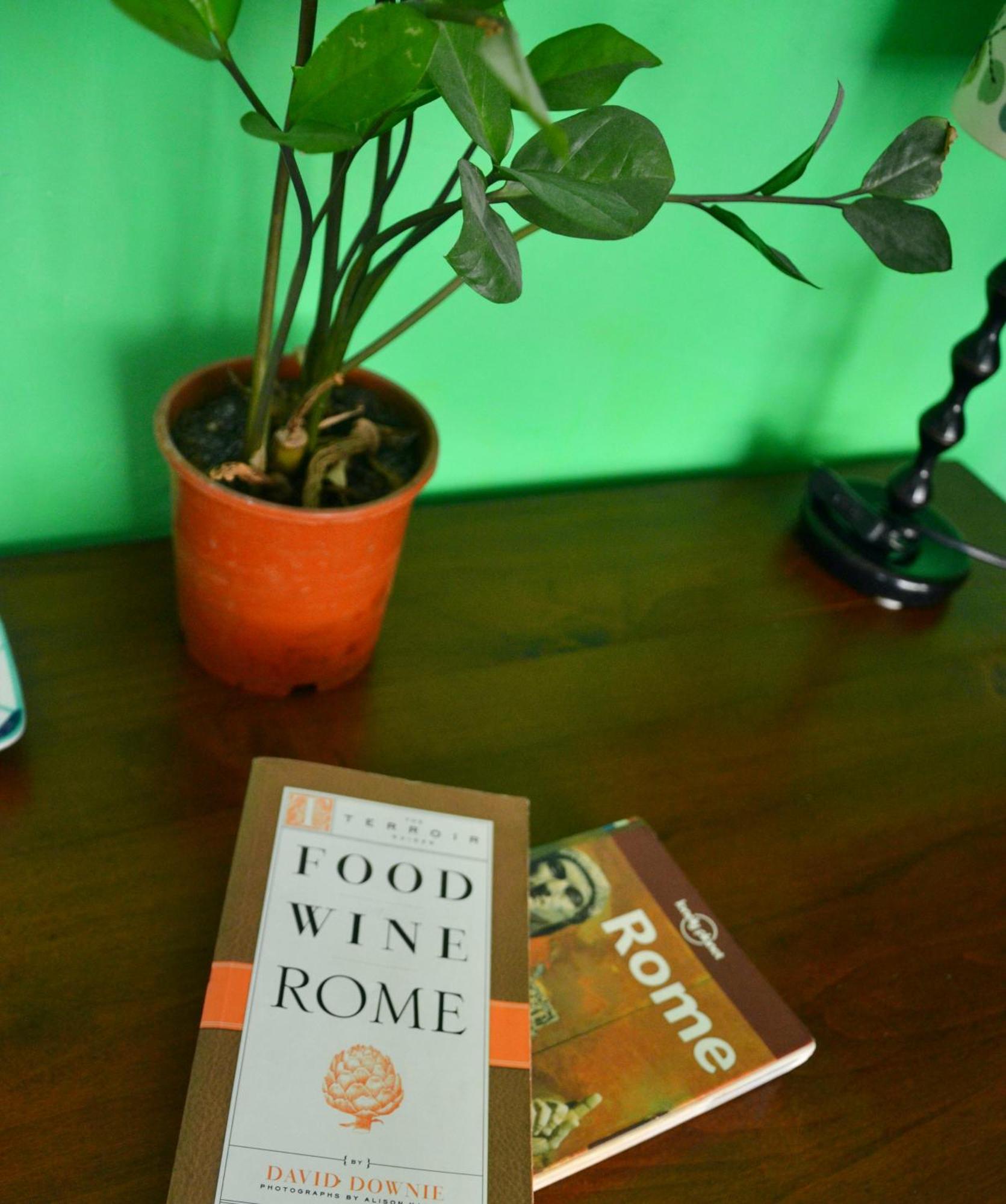 4321 Stazione Trastevere Apartment Rome